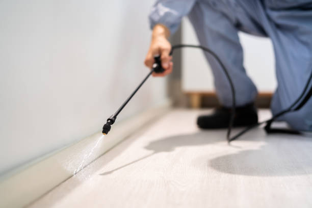 Licensed Pest Control service in Murphysboro, IL - Show Me Pest Control