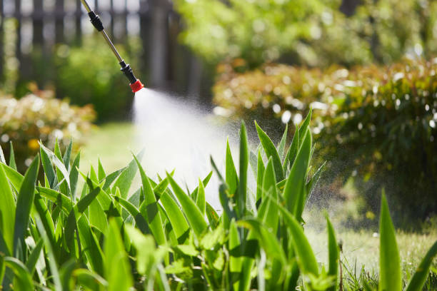 24/7 Emergency Mosquito Control experts in Murphysboro, IL