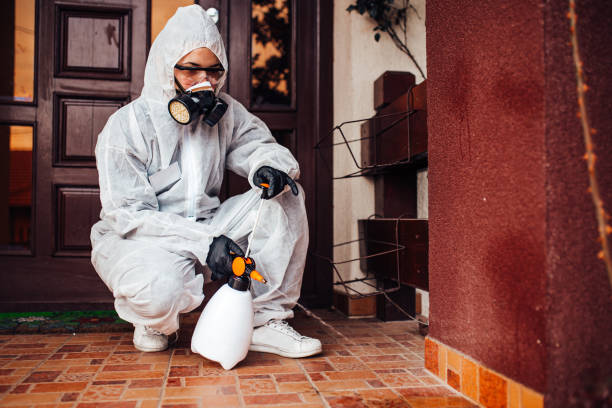 Reliable Mosquito Control contractor in Murphysboro, IL by Show Me Pest Control