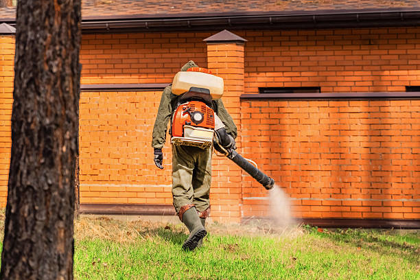 Top rated local Mosquito Control specialists in Murphysboro, IL